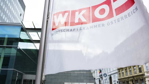 Viele Unternehmer fühlen sich von ihrer eigenen Kammer nicht gut vertreten – die Gehaltsdebatte ...