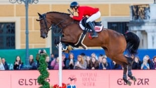 Sollte ein Pferd während eines Springreitbewerbes bluten, droht ab sofort keine direkte ...