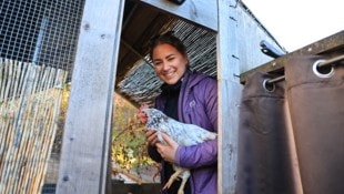 Hühnerhalterin Sabine Kluckner aus Weer hält ihre gefiederten Schützlinge im überdachten Stall.
