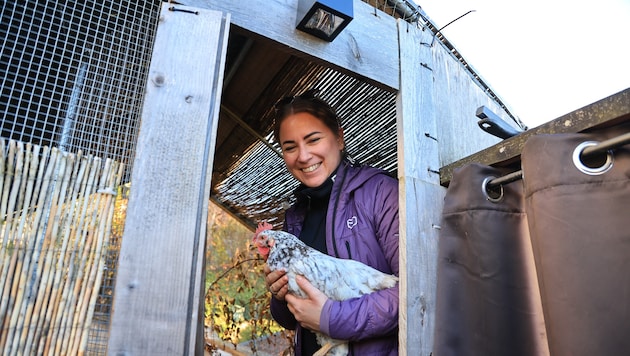 Hühnerhalterin Sabine Kluckner aus Weer hält ihre gefiederten Schützlinge im überdachten Stall.