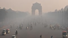 Gezielte Maßnahmen sollen dem Wahnsinn nun Einhalt gebieten.