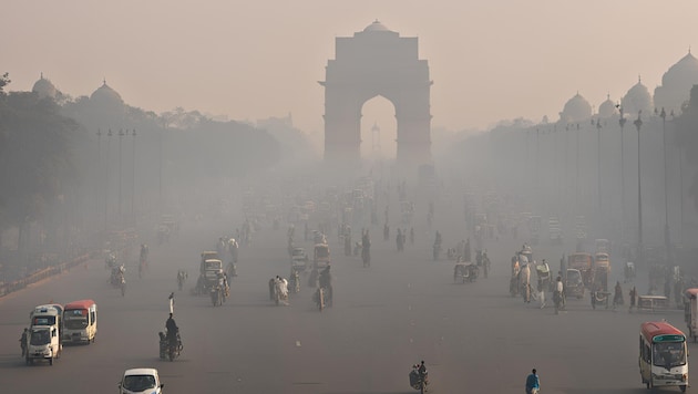 Gezielte Maßnahmen sollen dem Wahnsinn nun Einhalt gebieten.