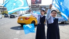 Die Iraker trotzen derzeit der kolportierten Politikverdrossenheit im Land.