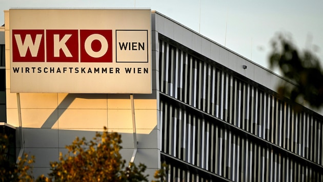 Die Wiener Wirtschaftskammer durchlebt turbulente Zeiten.