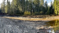 Der Bödelesee kann ab nächster Woche langsam wieder aufgefüllt werden.