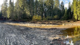 Der Bödelesee kann ab nächster Woche langsam wieder aufgefüllt werden.