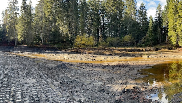 Der Bödelesee kann ab nächster Woche langsam wieder aufgefüllt werden.