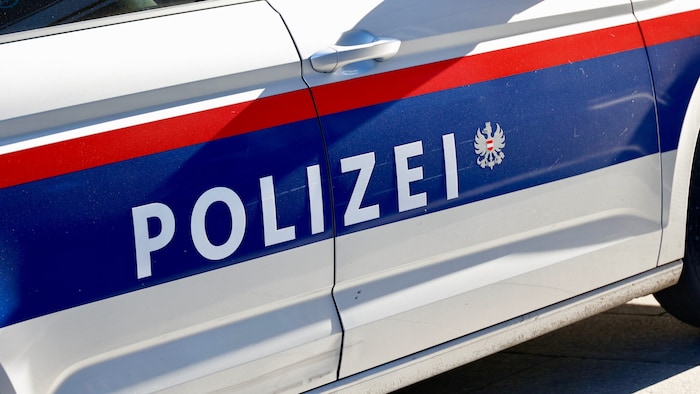 Der 21-jährige Rumäne soll die Frau nicht nur sexuell missbraucht, sondern auch zwei Wochen in ...