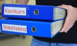 Die meisten Insolvenzen gab es laut Statistik Austria mit knapp 2000 im Bereich ...