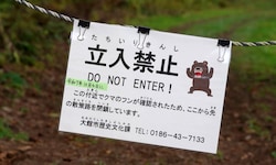 Dieses Schild macht auf die Gefahr durch Bären in der Region Aktita aufmerksam.