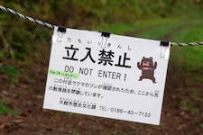 Dieses Schild macht auf die Gefahr durch Bären in der Region Aktita aufmerksam.