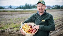 „Erdäpfelpapst“ Manfred Schauer aus Eferding ist pessimistisch, dass alle Kartoffeln angebracht ...