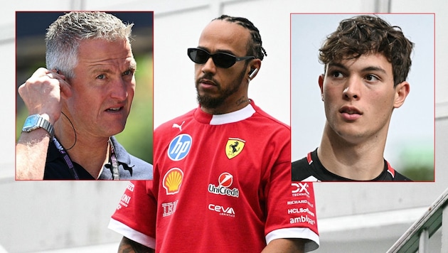 Ralf Schumacher could imagine that Lewis Hamilton will soon be replaced by Oliver Bearman at ...