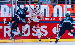 Connor Corcoran (mi.) und Co. brauchen in der CHL ein Wunder.