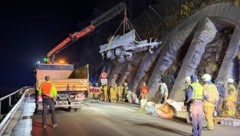 Knapp zwei Stunden dauerte der Bergungseinsatz.