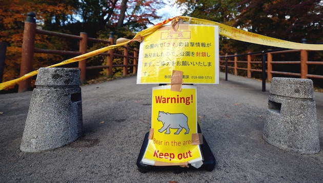 In Japan wird nach tödlichen Attacken vor wilden Bären gewarnt. Nach einer Gesetzesänderung ...