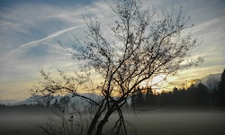 Der Nebel bleibt stellenweise ein hartnäckiger Begleiter. 