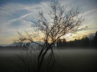 Der Nebel bleibt stellenweise ein hartnäckiger Begleiter. 