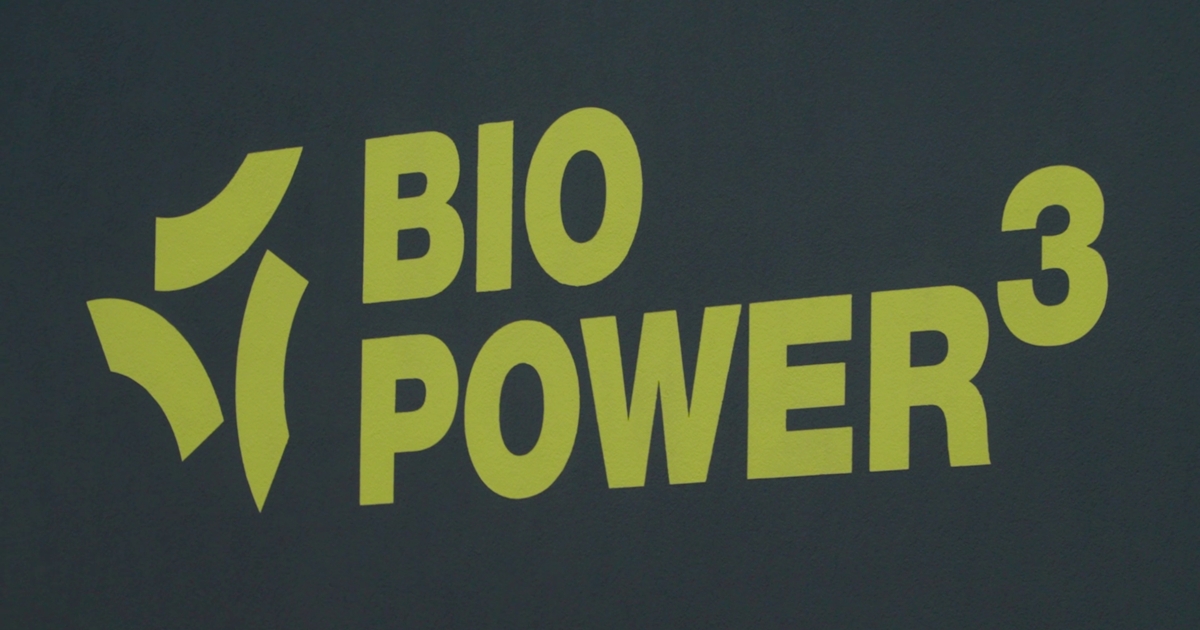 Smarte Technologie - Biopower setzt auf KI für grüne Energie-Zukunft ...
