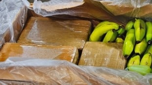 In Lübeck und Umgebung stellten Ermittler 500 Kilogramm Kokain sicher.