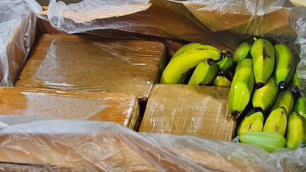 In Lübeck und Umgebung stellten Ermittler 500 Kilogramm Kokain sicher.