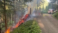 Der junge Feuerwehrmann legte vier Feuer, unter anderem zündete er Holzhaufen in einem Wald an.
