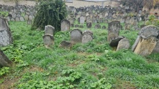 Am Älteren Jüdischen Friedhof ruhen historische Prominente.
