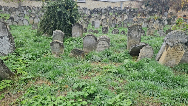 Am Älteren Jüdischen Friedhof ruhen historische Prominente.