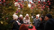 180 Tannen und 2500 rote Kugeln machen den Innenhof des Klosterhofs zum Winterzauber.