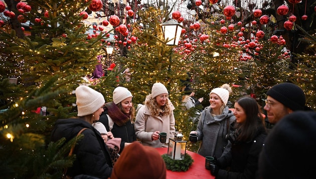 180 Tannen und 2500 rote Kugeln machen den Innenhof des Klosterhofs zum Winterzauber.
