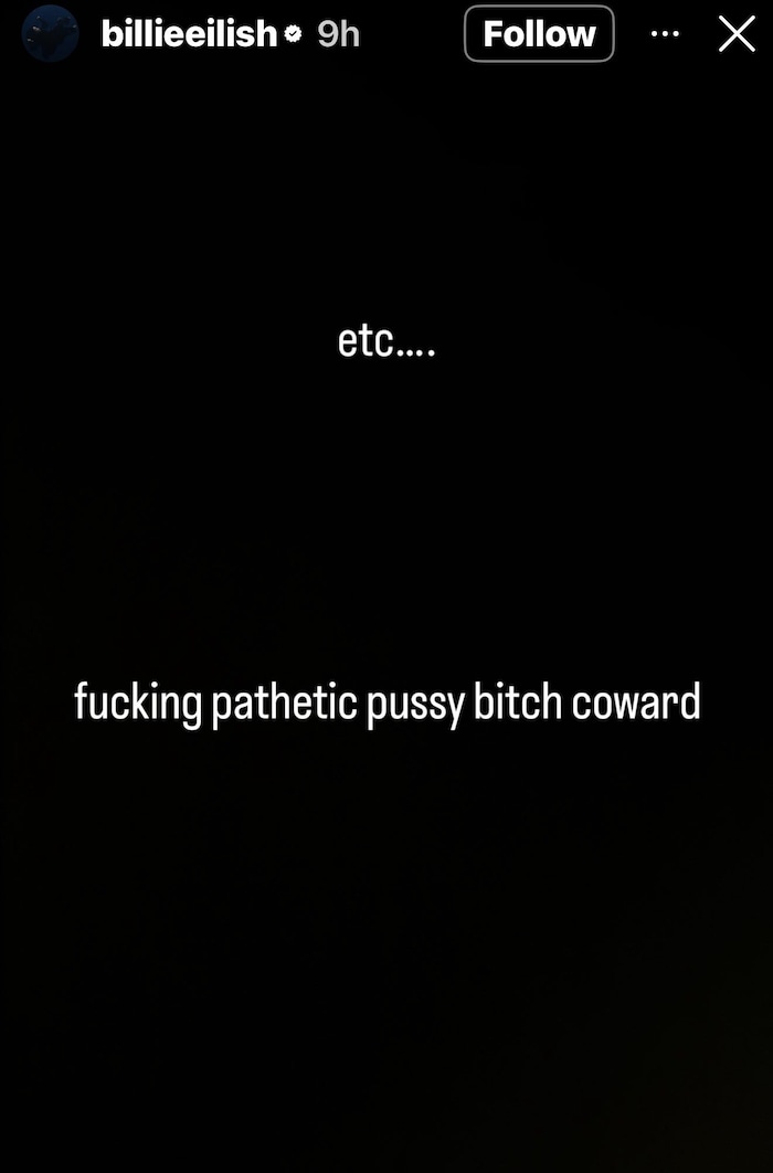 Die Sängerin nennt Musk eine „erbärmliche, feige, verweichlichte Schlampe“.