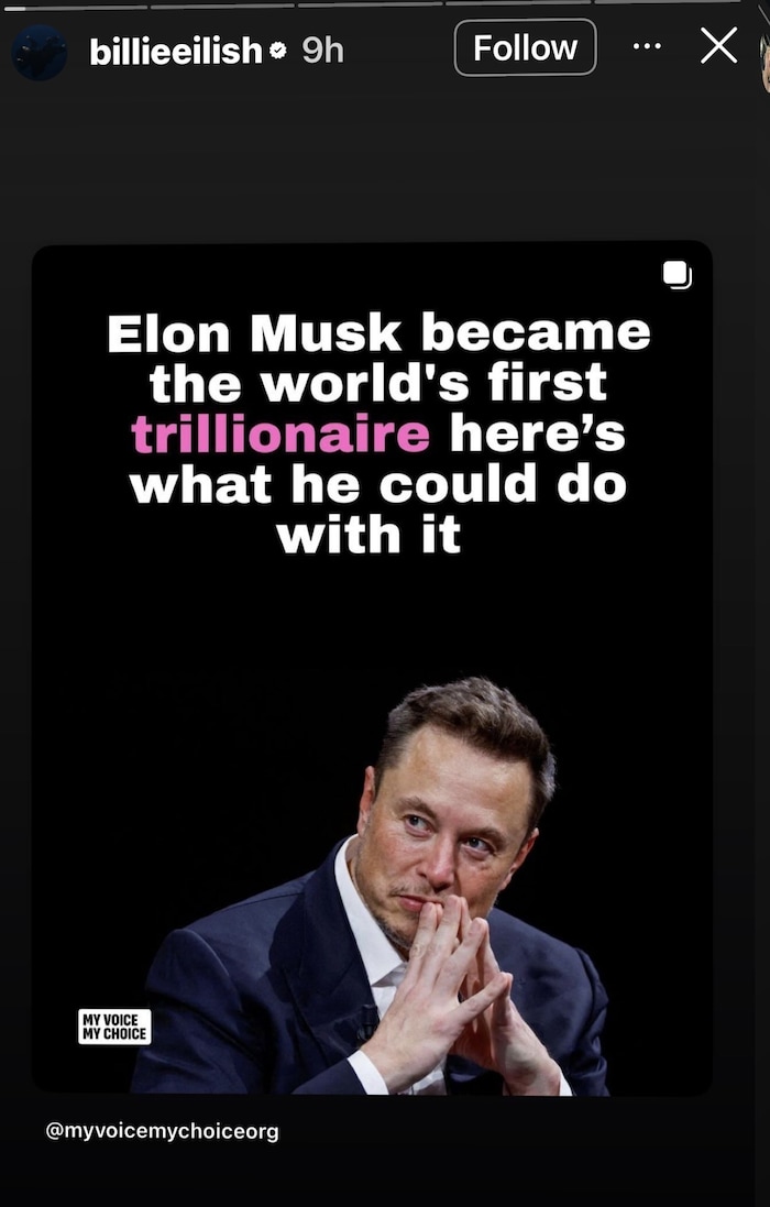 Billie Eilish fordert Elon Musk auf Instagram heraus.