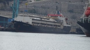 Auf diesem Schiff müssen die Rinder ausharren.