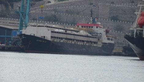 Auf diesem Schiff müssen die Rinder ausharren.