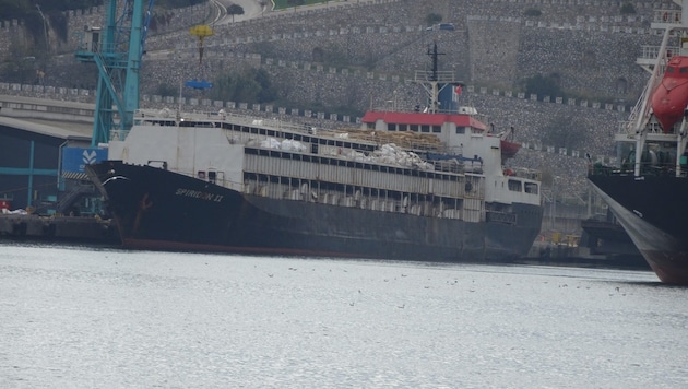 Die Rinder sind offenbar wieder auf dem Weg nach Uruguay.