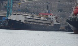 Auf diesem Schiff müssen die Rinder ausharren.
