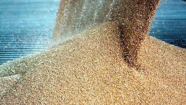 The 21-year-old was completely swallowed by the grain silo - he suffered fatal injuries ...