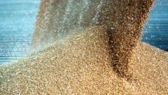 Österreichs Lebensmittelindustrie betreibt bisher wenig Handel mit den Mercosur-Staaten ...