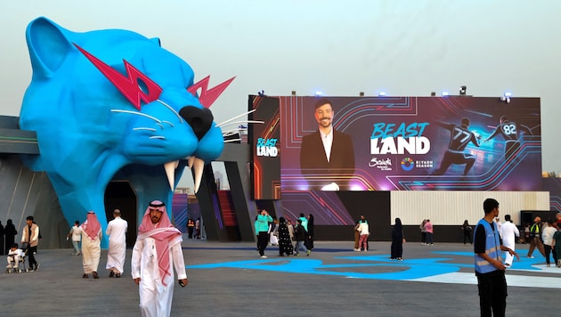 Den Eingang zu dem Freizeitpark bildet ein riesiger blauer Tigerkopf im Stil des Logos von ...