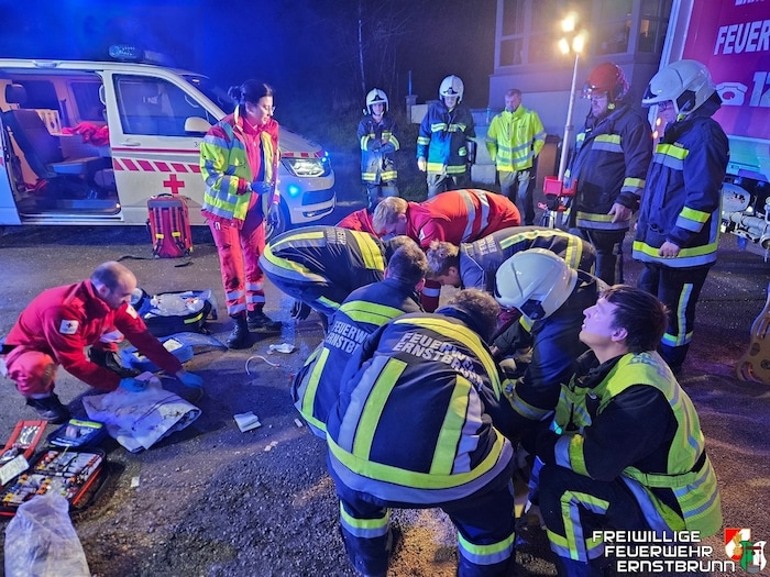 Der 21-jährige Arbeiter sank zur Gänze ein und wurde komplett verschüttet. Er erlitt tödliche ...