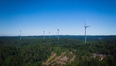 Für fünf Windparks – wie hier in Munderfing – läuft gerade das UVP-Verfahren. 