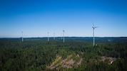 Für fünf Windparks – wie hier in Munderfing – läuft gerade das UVP-Verfahren. 