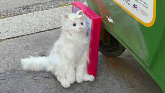 Auch ein Plüschtiger wurde beim illegalen Müllberg ausgesetzt.