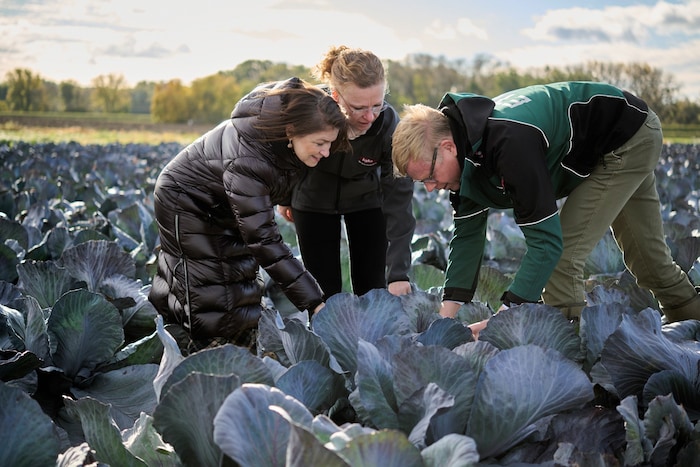 Die Zutaten stammen frisch aus dem Marchfeld.