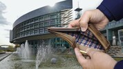 Magere Zeiten warten auf Politiker in NÖ – aber ganz leer bleiben die Geldbörsen freilich nicht.