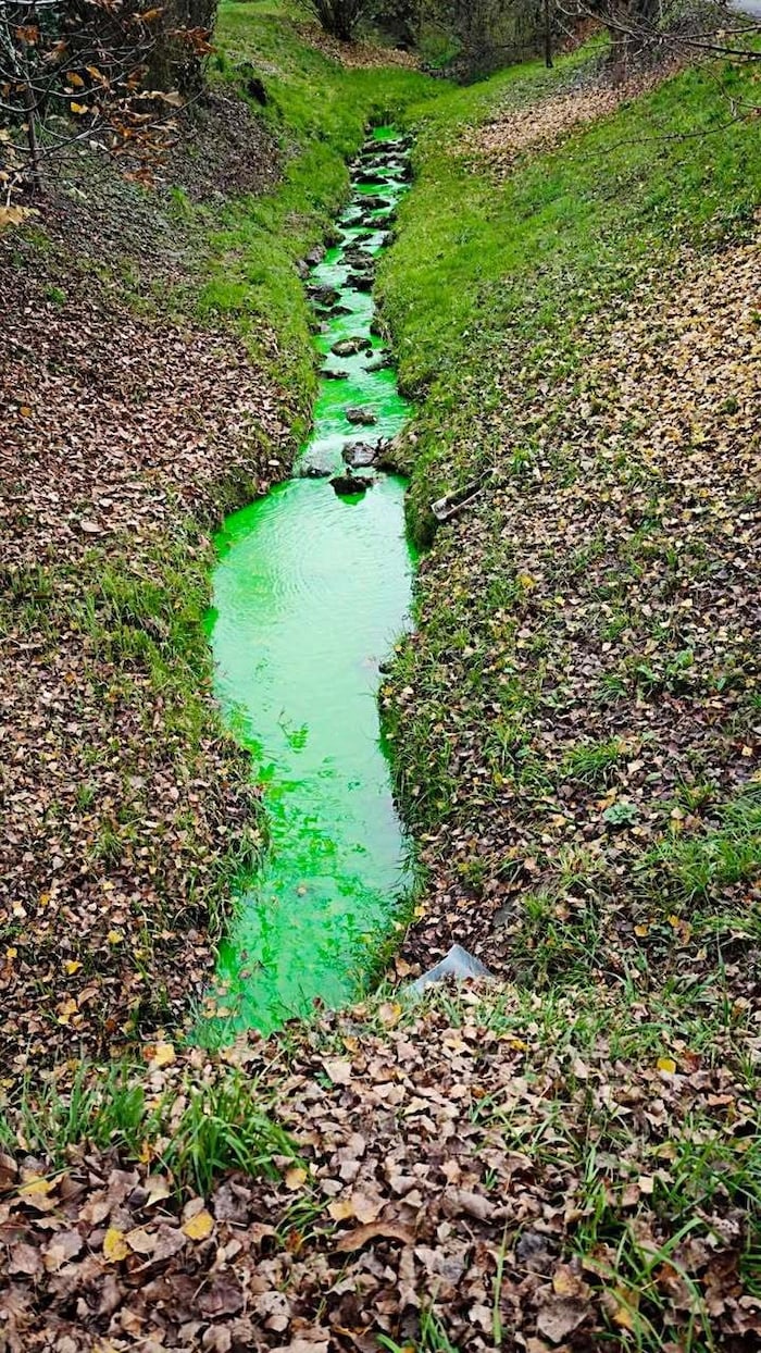 Grüner als die Natur erlaubt.
