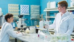 Beim niederösterreichischen Start-up Ensemo werden Mikroorganismen in Saatgut eingelagert.