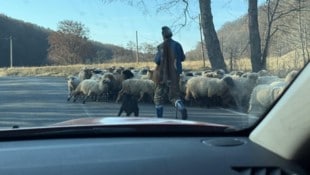 Robert Renner Ein Originalbild von der Anreise von den Linzer Tischtennis-Herren zum ...