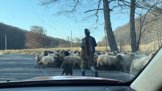Ein Originalbild von der Anreise von den Linzer Tischtennis-Herren zum ...