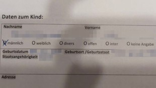 Dieses Anmeldeformular sorgte für Aufregung.